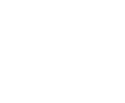Evolution games at Vip Spel Casino